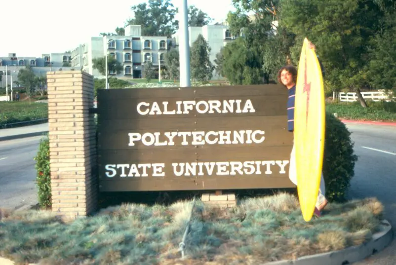 How I Became a Marine Biologist: My Transition from Surfing