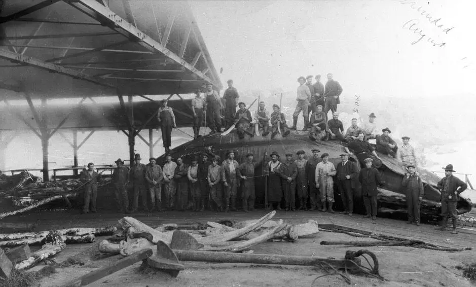 Shore Whaling at Trinidad, California in the 1920s