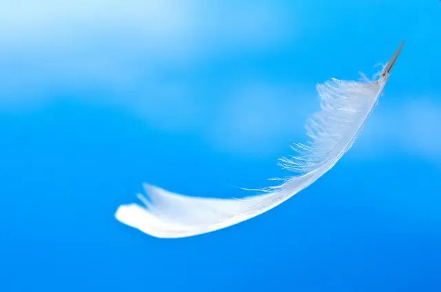 What if Life Chooses you?