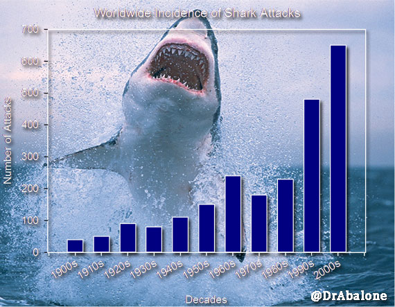 Shark attacks are on the rise: five things you need to know 